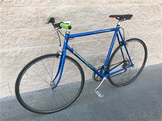 schwinn paramount for sale